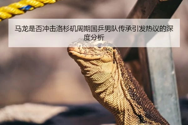 马龙是否冲击洛杉矶周期国乒男队传承引发热议的深度分析 | Yabo