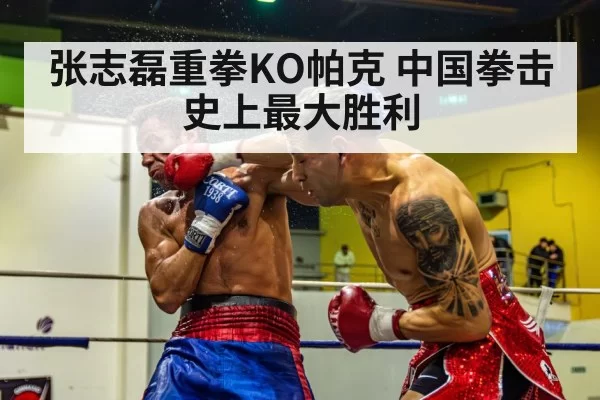 张志磊重拳KO帕克 中国拳击史上最大胜利 | Yabo